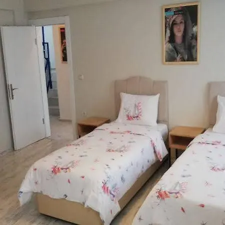 Ale سفيريهيسار